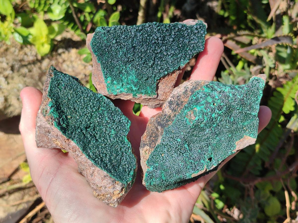 Natural Botryoidal Crystalline Malachite Specimens x 12 From Tenke Fungurume, Congo - Toprock Gemstones and Minerals 
