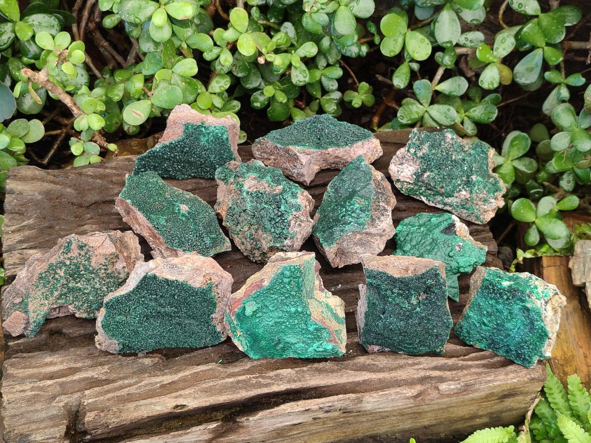 Natural Botryoidal Crystalline Malachite Specimens x 12 From Tenke Fungurume, Congo - Toprock Gemstones and Minerals 