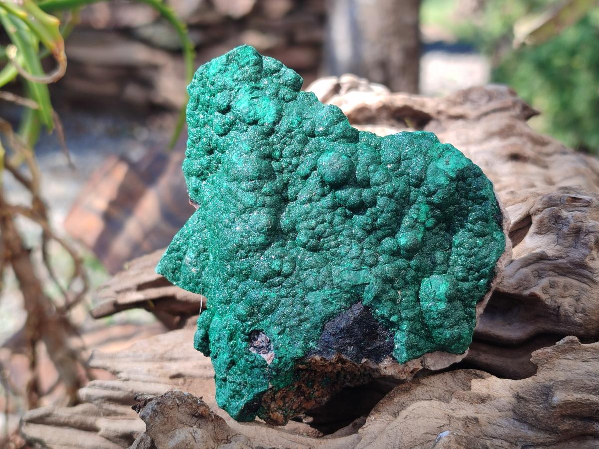 Natural Botryoidal Crystalline Malachite Specimens x 12 From Tenke Fungurume, Congo - Toprock Gemstones and Minerals 