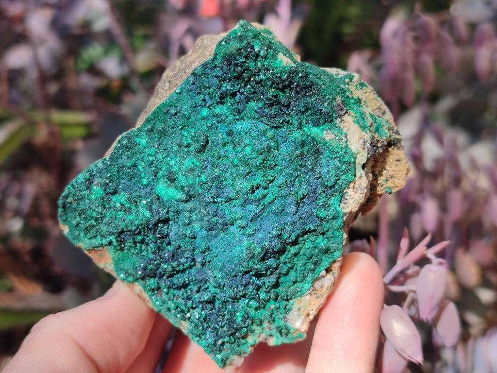 Natural Botryoidal Crystalline Malachite Specimens x 12 From Tenke Fungurume, Congo - Toprock Gemstones and Minerals 