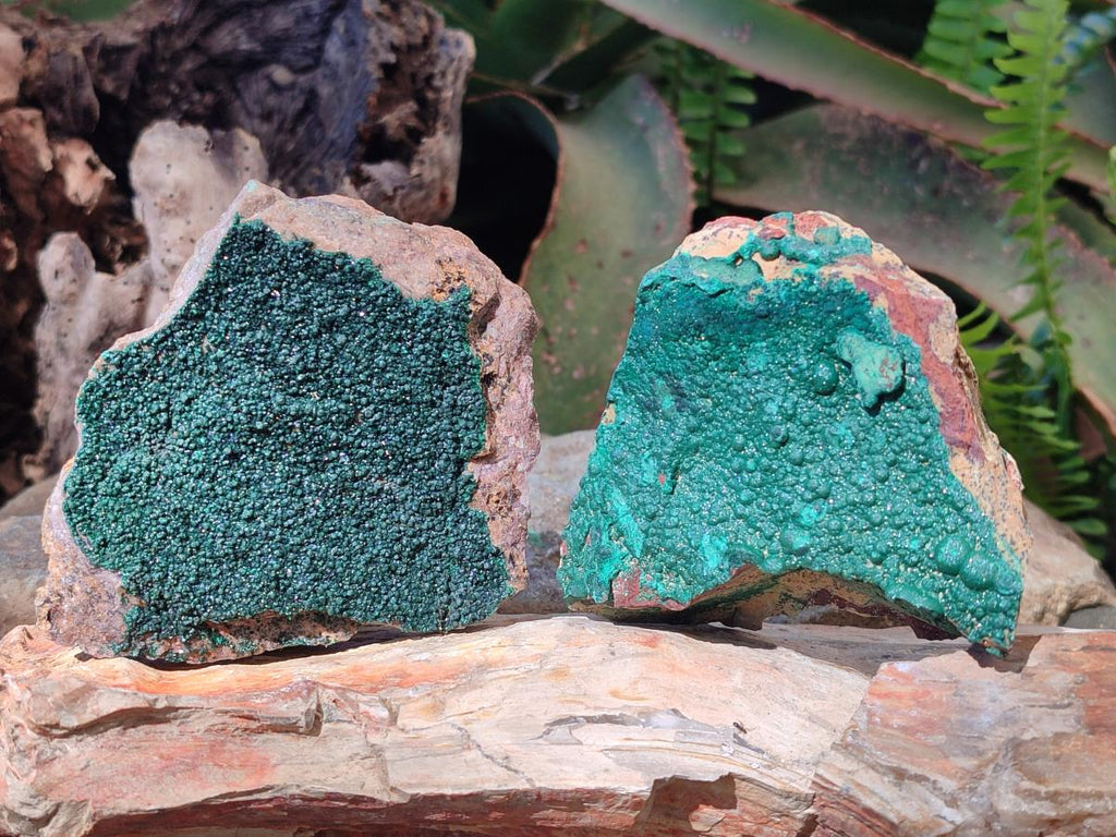 Natural Botryoidal Crystalline Malachite Specimens x 12 From Tenke Fungurume, Congo - Toprock Gemstones and Minerals 