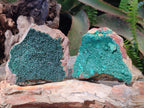 Natural Botryoidal Crystalline Malachite Specimens x 12 From Tenke Fungurume, Congo - Toprock Gemstones and Minerals 