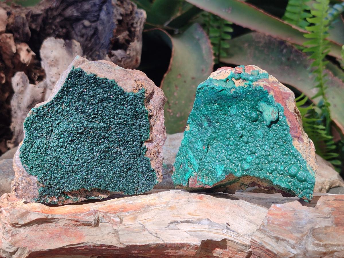 Natural Botryoidal Crystalline Malachite Specimens x 12 From Tenke Fungurume, Congo - Toprock Gemstones and Minerals 