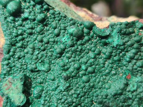 Natural Botryoidal Crystalline Malachite Specimens x 12 From Tenke Fungurume, Congo - Toprock Gemstones and Minerals 