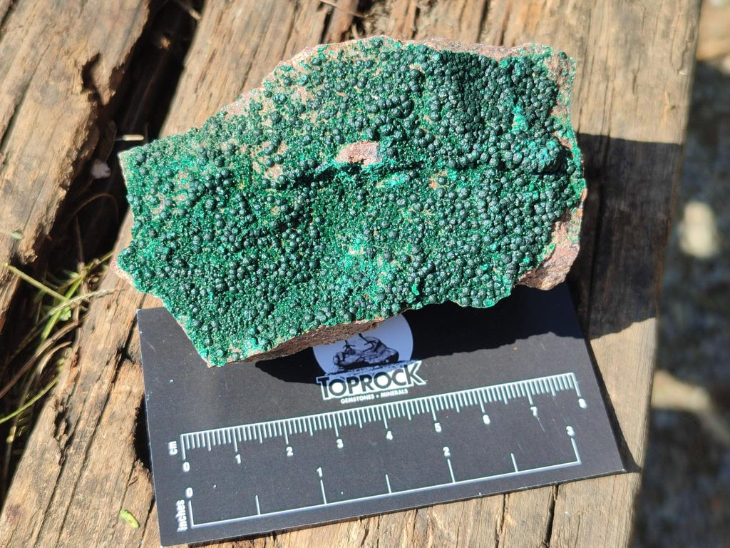 Natural Botryoidal Crystalline Malachite Specimens x 12 From Tenke Fungurume, Congo - Toprock Gemstones and Minerals 
