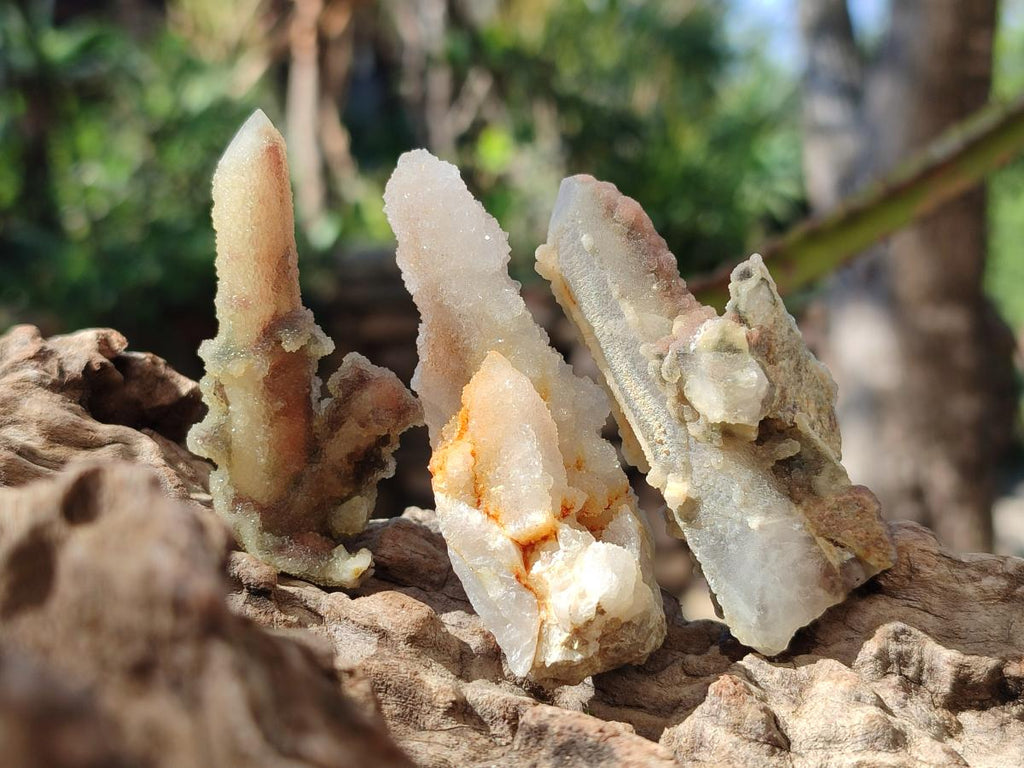 Natural Drusy Fairy Spirit Quartz Single Crystals x 70 From Boekenhouthoek, South Africa - Toprock Gemstones and Minerals 