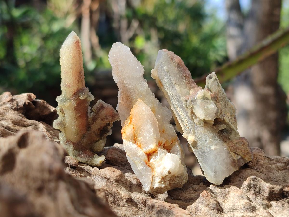 Natural Drusy Fairy Spirit Quartz Single Crystals x 70 From Boekenhouthoek, South Africa - Toprock Gemstones and Minerals 