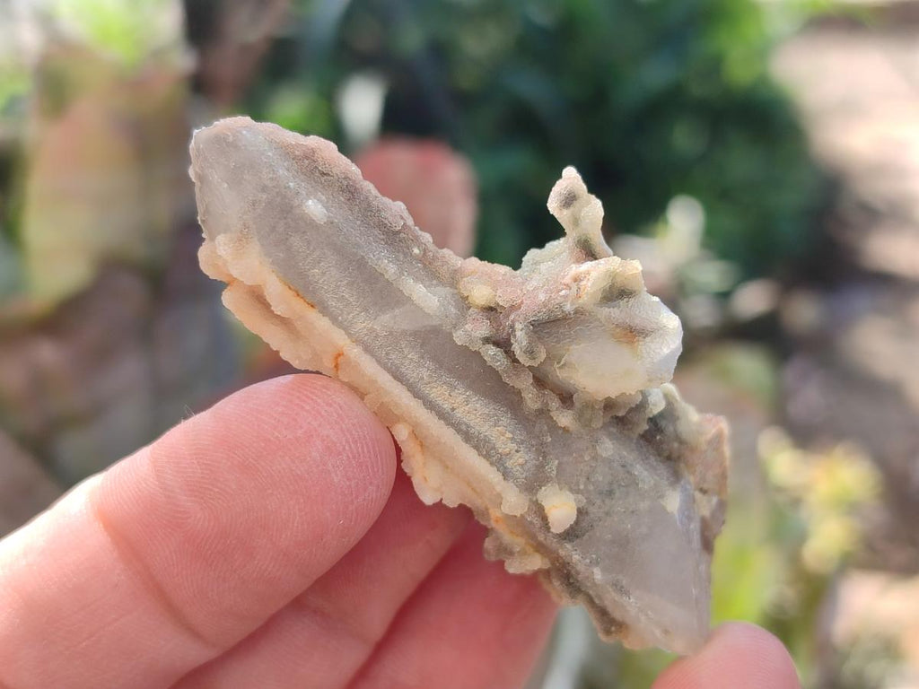 Natural Drusy Fairy Spirit Quartz Single Crystals x 70 From Boekenhouthoek, South Africa - Toprock Gemstones and Minerals 