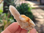 Natural Drusy Fairy Spirit Quartz Single Crystals x 70 From Boekenhouthoek, South Africa - Toprock Gemstones and Minerals 