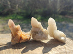 Natural Drusy Fairy Spirit Quartz Single Crystals x 70 From Boekenhouthoek, South Africa - Toprock Gemstones and Minerals 
