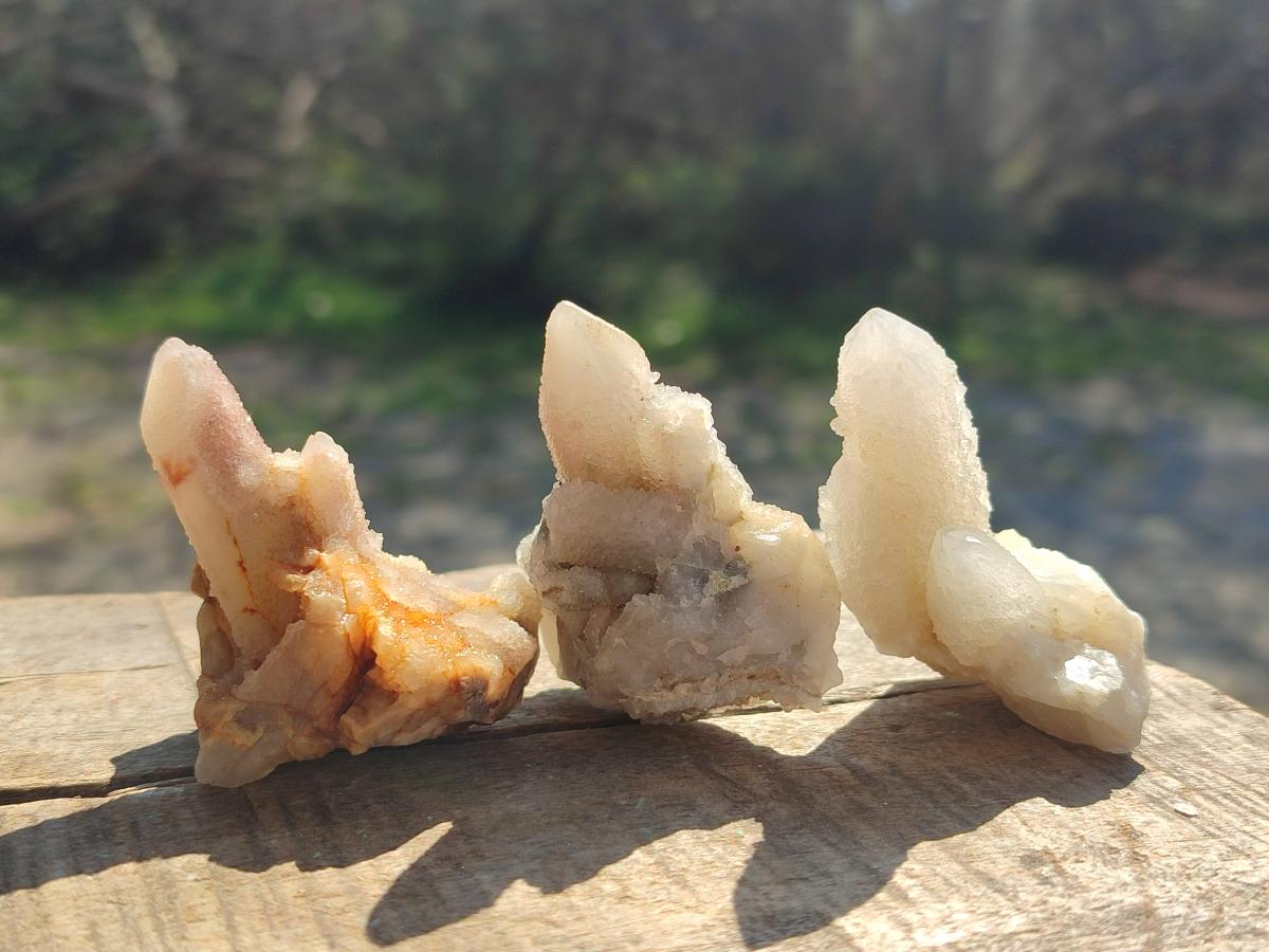 Natural Drusy Fairy Spirit Quartz Single Crystals x 70 From Boekenhouthoek, South Africa - Toprock Gemstones and Minerals 