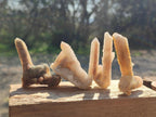 Natural Drusy Fairy Spirit Quartz Single Crystals x 70 From Boekenhouthoek, South Africa - Toprock Gemstones and Minerals 
