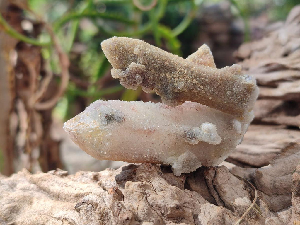 Natural Drusy Fairy Spirit Quartz Single Crystals x 70 From Boekenhouthoek, South Africa - Toprock Gemstones and Minerals 