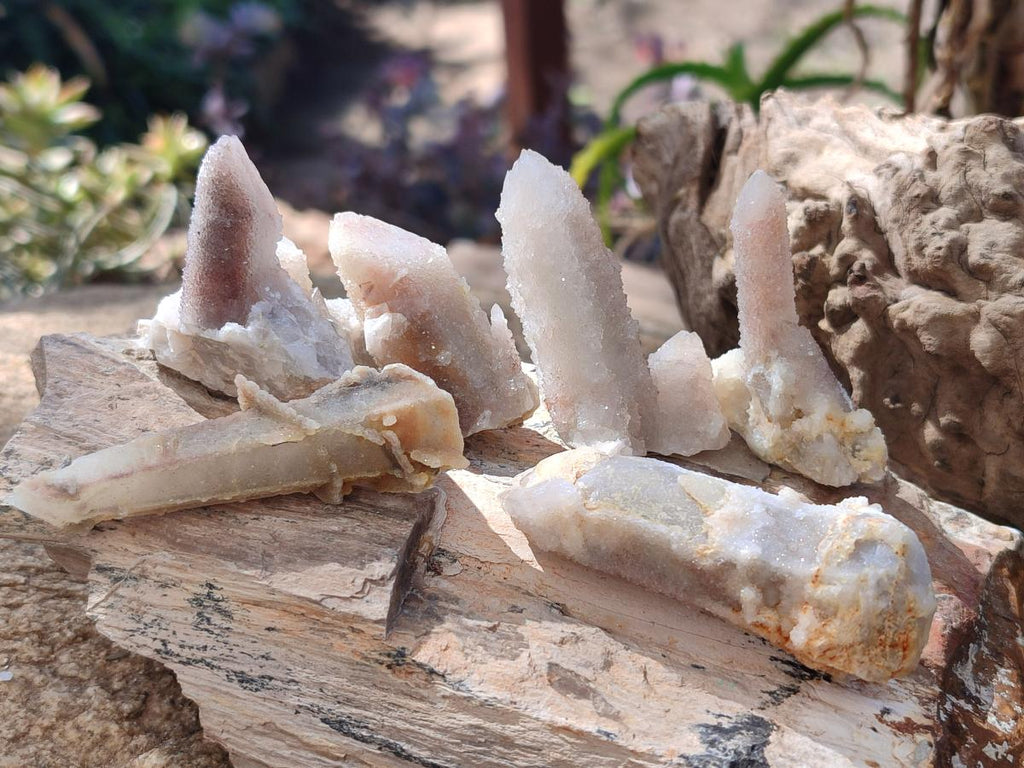 Natural Drusy Fairy Spirit Quartz Single Crystals x 70 From Boekenhouthoek, South Africa - Toprock Gemstones and Minerals 