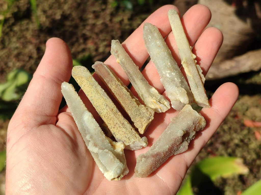 Natural Drusy Fairy Spirit Quartz Single Crystals x 70 From Boekenhouthoek, South Africa - Toprock Gemstones and Minerals 