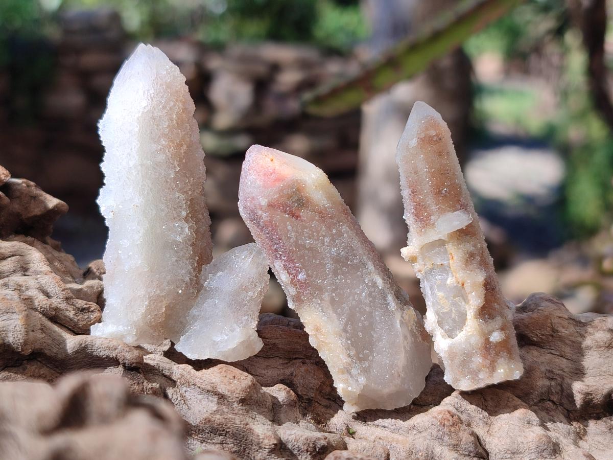 Natural Drusy Fairy Spirit Quartz Single Crystals x 70 From Boekenhouthoek, South Africa - Toprock Gemstones and Minerals 