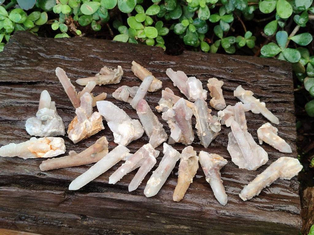 Natural Drusy Fairy Spirit Quartz Single Crystals x 70 From Boekenhouthoek, South Africa - Toprock Gemstones and Minerals 
