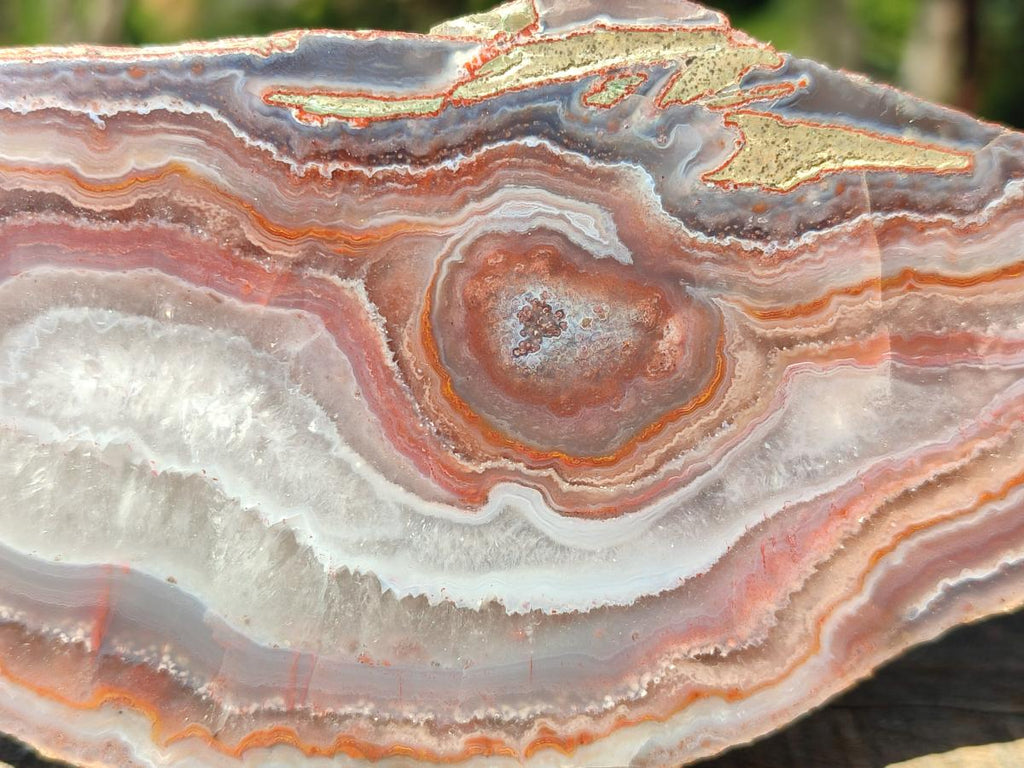 Polished One Side Red Shashe River Agate Slices x 6 From Shashe River, Zimbabwe - Toprock Gemstones and Minerals 