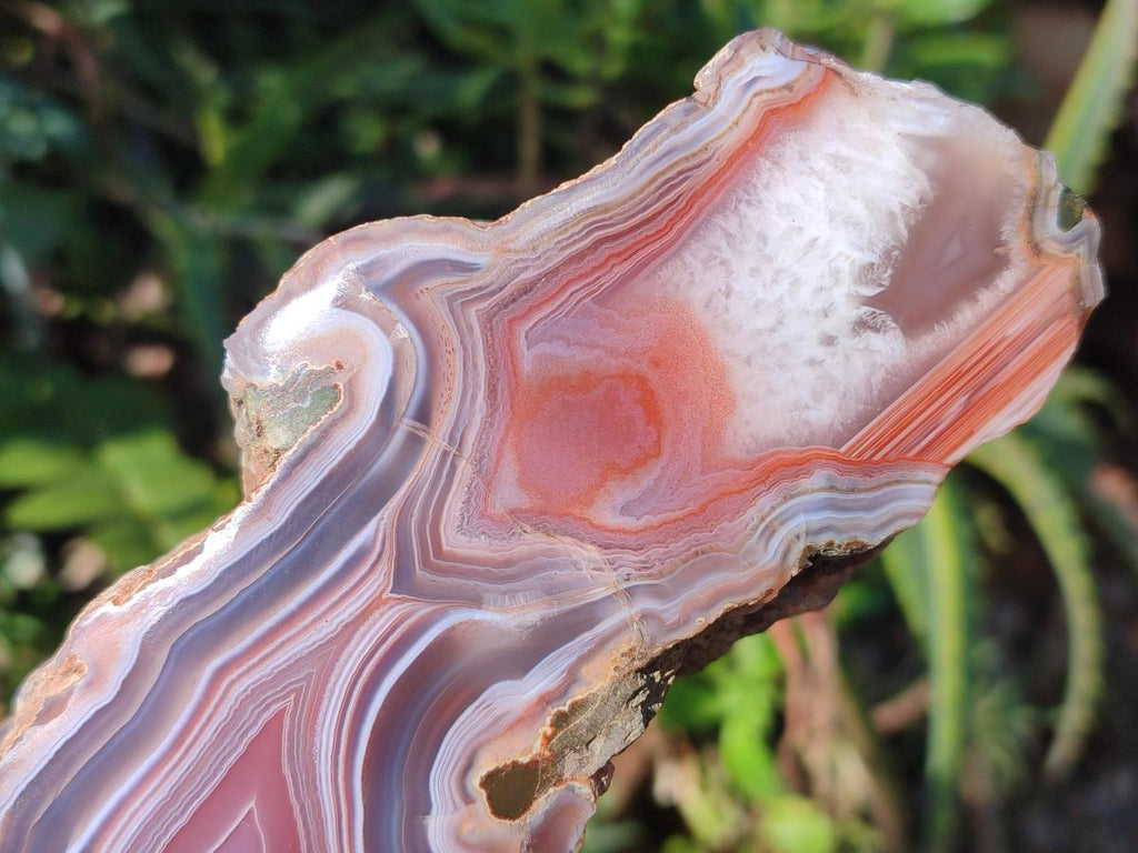 Polished One Side Red Shashe River Agate Slices x 6 From Shashe River, Zimbabwe - Toprock Gemstones and Minerals 