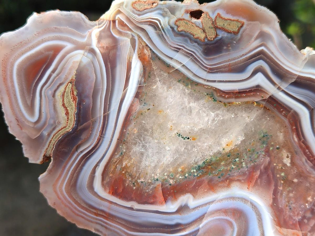 Polished One Side Red Shashe River Agate Slices x 6 From Shashe River, Zimbabwe - Toprock Gemstones and Minerals 