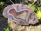Polished One Side Red Shashe River Agate Slices x 6 From Shashe River, Zimbabwe - Toprock Gemstones and Minerals 