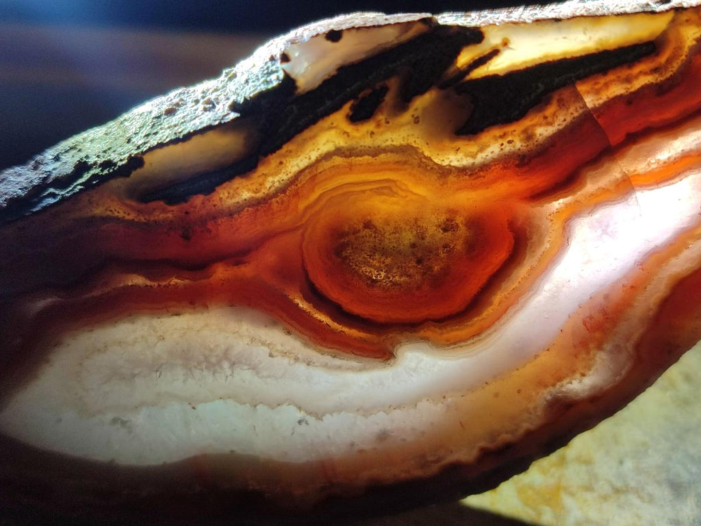 Polished One Side Red Shashe River Agate Slices x 6 From Shashe River, Zimbabwe - Toprock Gemstones and Minerals 