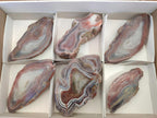 Polished One Side Red Shashe River Agate Slices x 6 From Shashe River, Zimbabwe - Toprock Gemstones and Minerals 