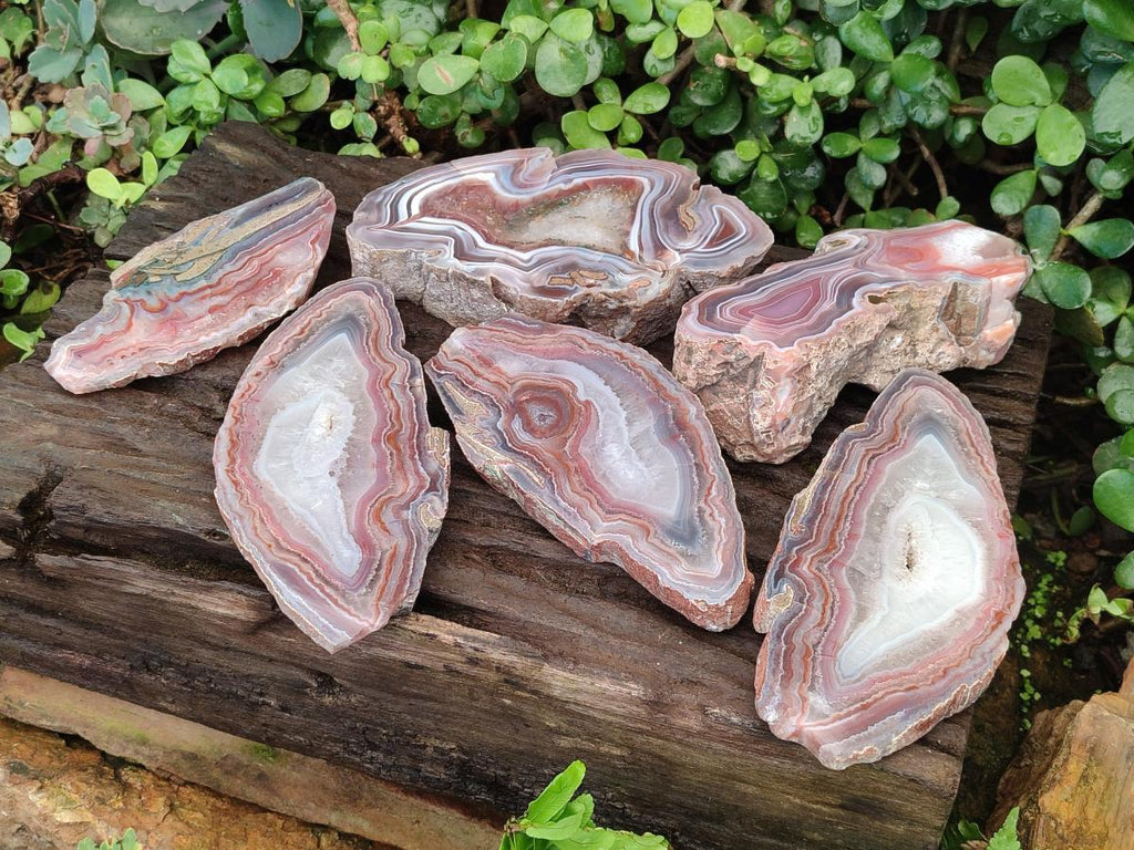 Polished One Side Red Shashe River Agate Slices x 6 From Shashe River, Zimbabwe - Toprock Gemstones and Minerals 
