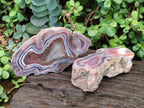 Polished One Side Red Shashe River Agate Slices x 6 From Shashe River, Zimbabwe - Toprock Gemstones and Minerals 