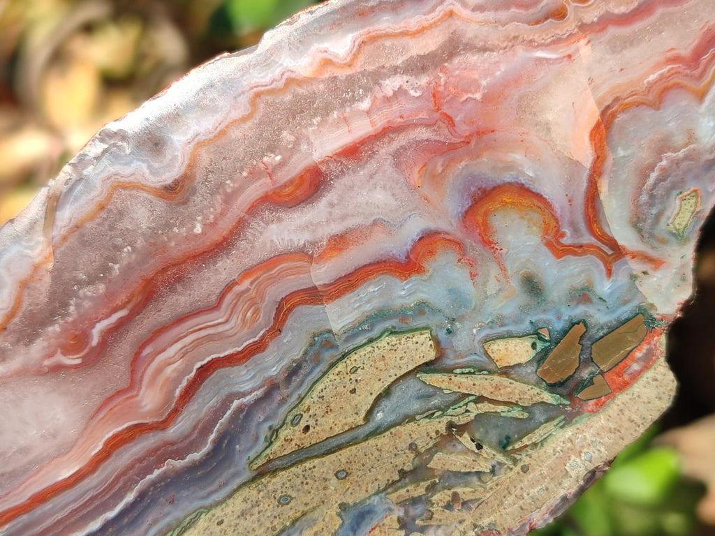 Polished One Side Red Shashe River Agate Slices x 6 From Shashe River, Zimbabwe - Toprock Gemstones and Minerals 