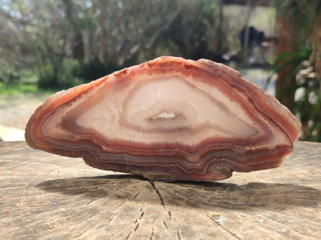 Polished One Side Red Shashe River Agate Slices x 6 From Shashe River, Zimbabwe - Toprock Gemstones and Minerals 