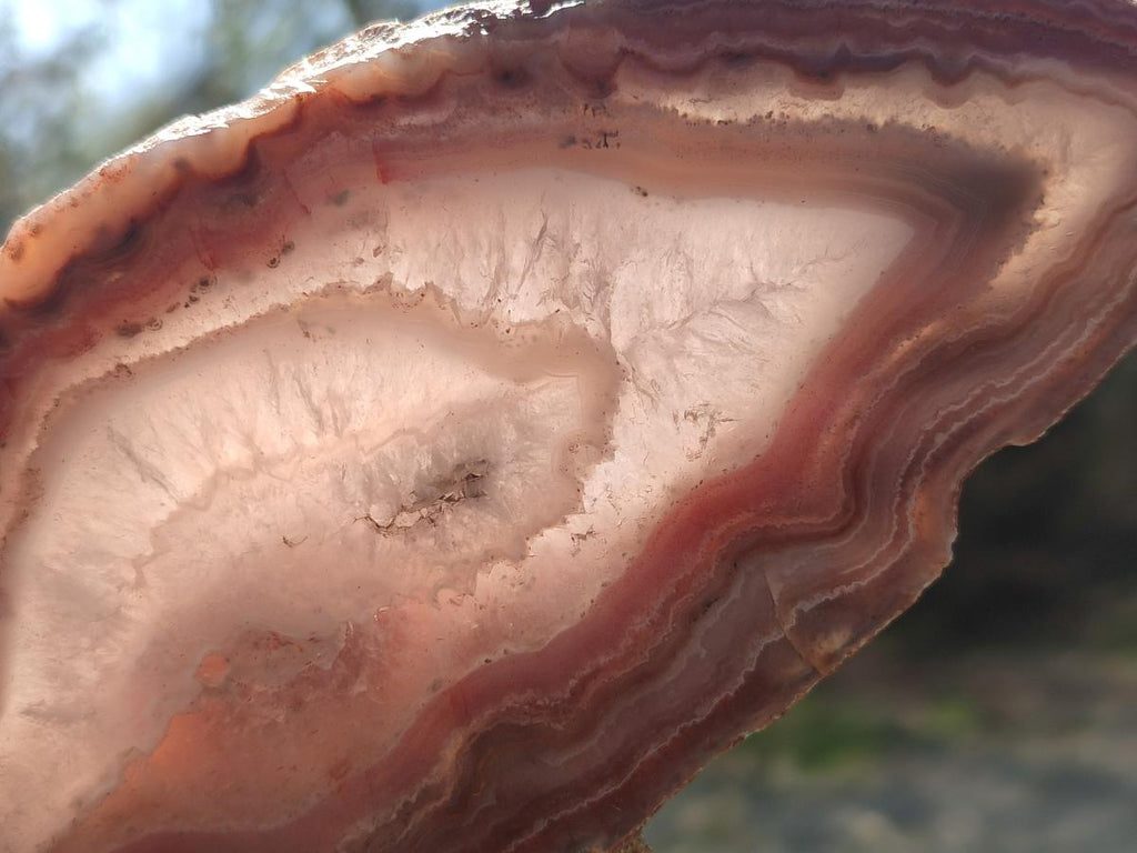 Polished One Side Red Shashe River Agate Slices x 6 From Shashe River, Zimbabwe - Toprock Gemstones and Minerals 