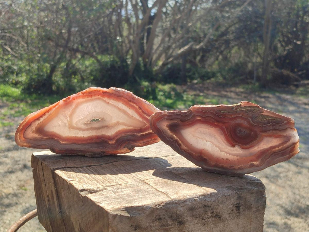 Polished One Side Red Shashe River Agate Slices x 6 From Shashe River, Zimbabwe - Toprock Gemstones and Minerals 