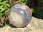 Polished Red Shashe River Agate Spheres x 2 From Shashe River, Zimbabwe - Toprock Gemstones and Minerals 