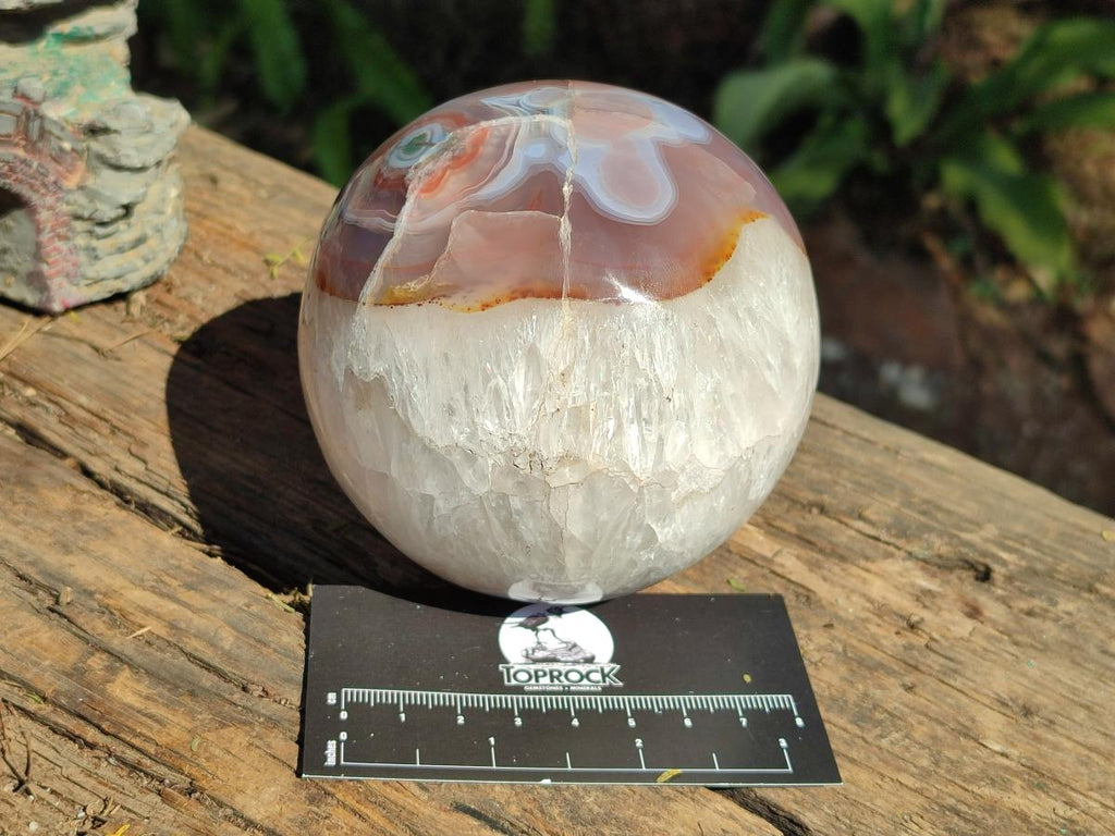 Polished Red Shashe River Agate Spheres x 2 From Shashe River, Zimbabwe - Toprock Gemstones and Minerals 