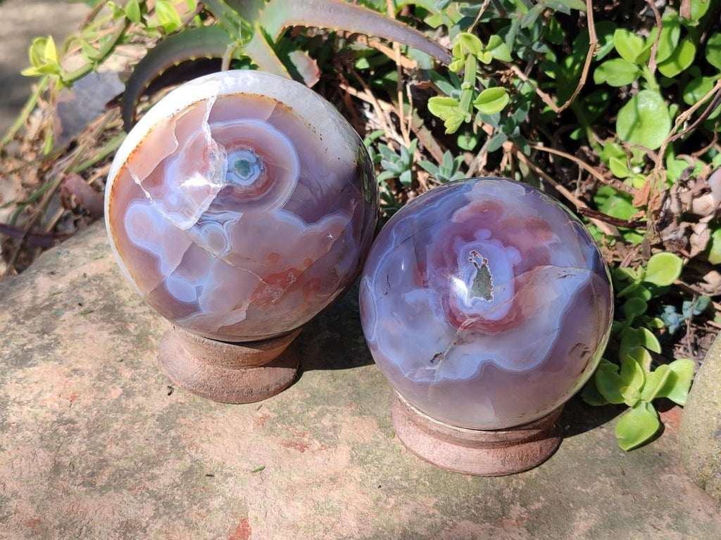 Polished Red Shashe River Agate Spheres x 2 From Shashe River, Zimbabwe - Toprock Gemstones and Minerals 