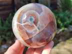 Polished Red Shashe River Agate Spheres x 2 From Shashe River, Zimbabwe - Toprock Gemstones and Minerals 