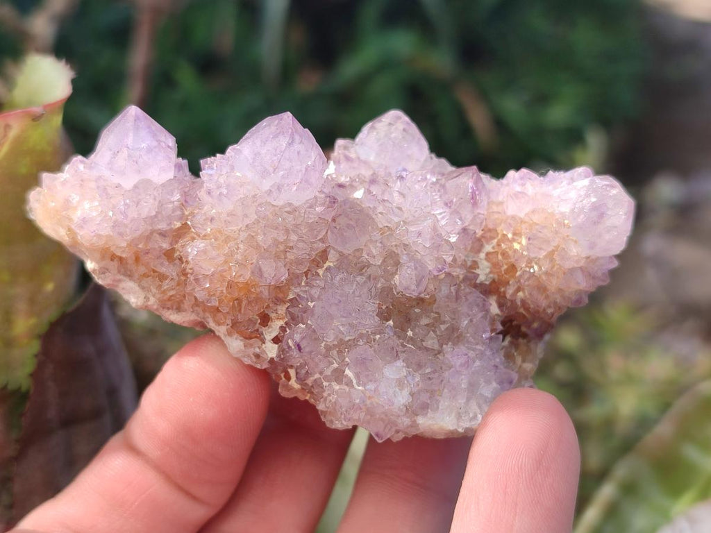 Natural Spirit Amethyst Clusters x 12 From Boekenhouthoek, South Africa - Toprock Gemstones and Minerals 