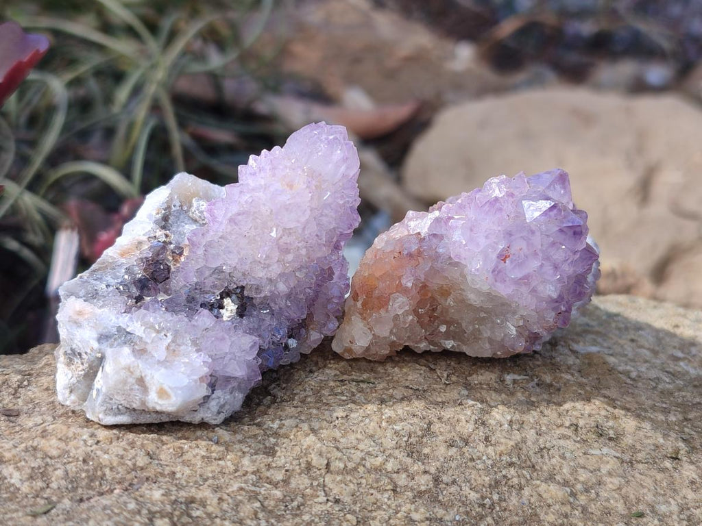 Natural Spirit Amethyst Clusters x 12 From Boekenhouthoek, South Africa - Toprock Gemstones and Minerals 