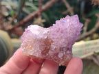 Natural Spirit Amethyst Clusters x 12 From Boekenhouthoek, South Africa - Toprock Gemstones and Minerals 