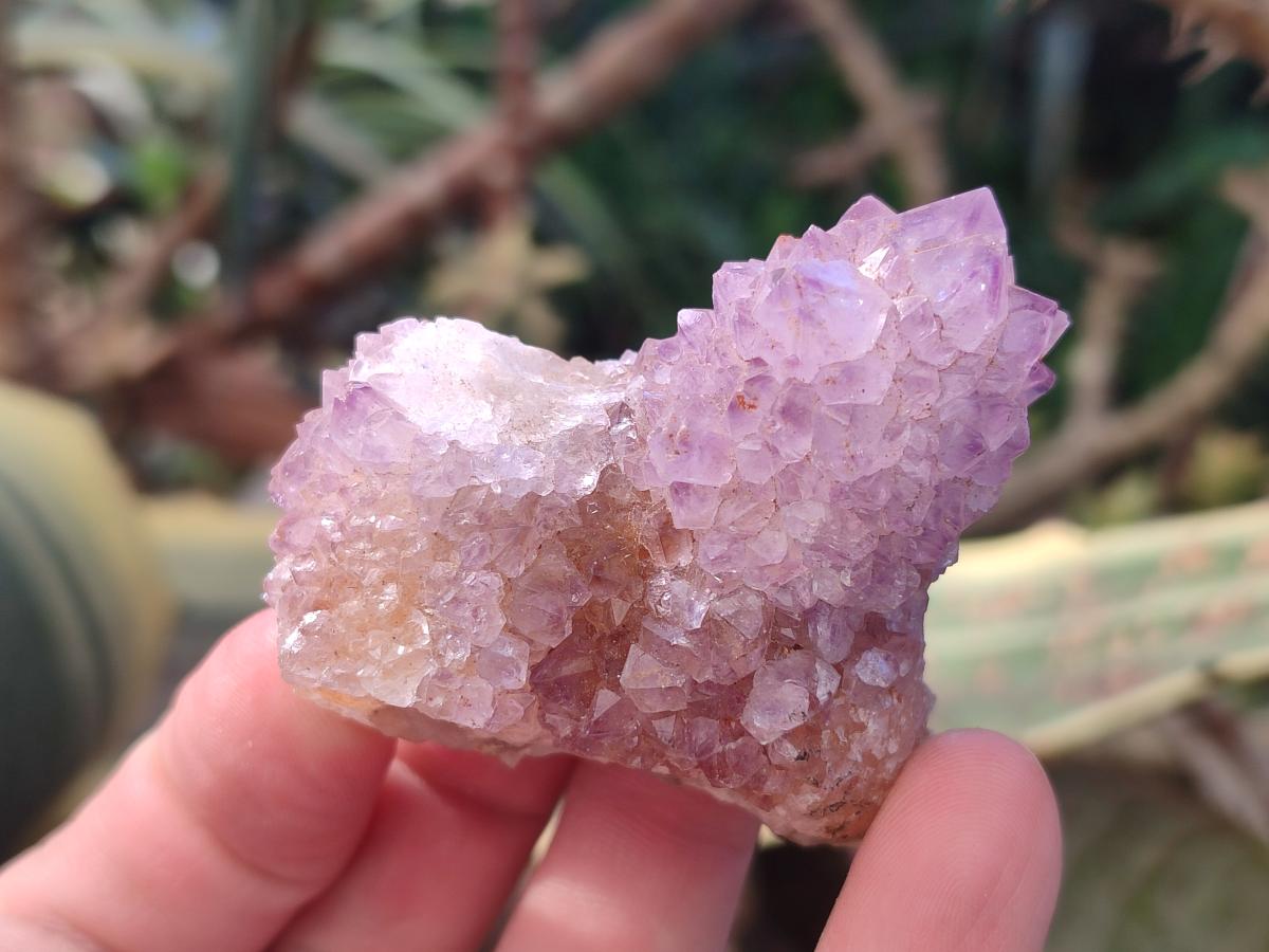 Natural Spirit Amethyst Clusters x 12 From Boekenhouthoek, South Africa - Toprock Gemstones and Minerals 