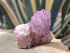 Natural Spirit Amethyst Clusters x 12 From Boekenhouthoek, South Africa - Toprock Gemstones and Minerals 