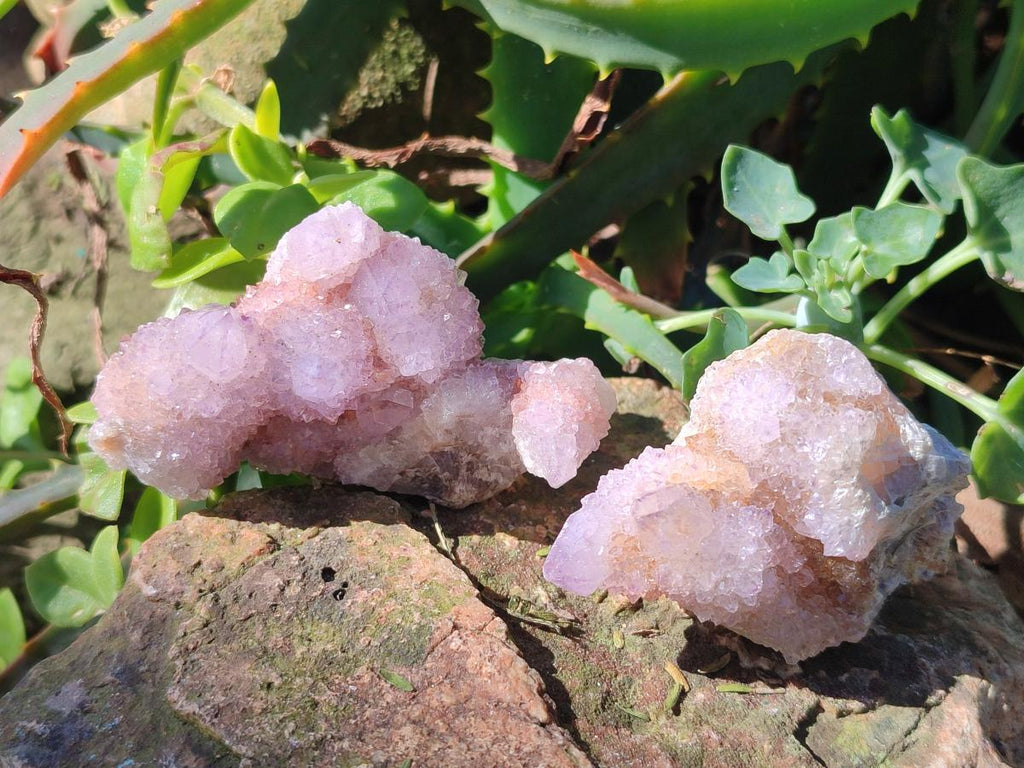 Natural Spirit Amethyst Clusters x 12 From Boekenhouthoek, South Africa - Toprock Gemstones and Minerals 