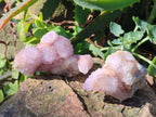 Natural Spirit Amethyst Clusters x 12 From Boekenhouthoek, South Africa - Toprock Gemstones and Minerals 