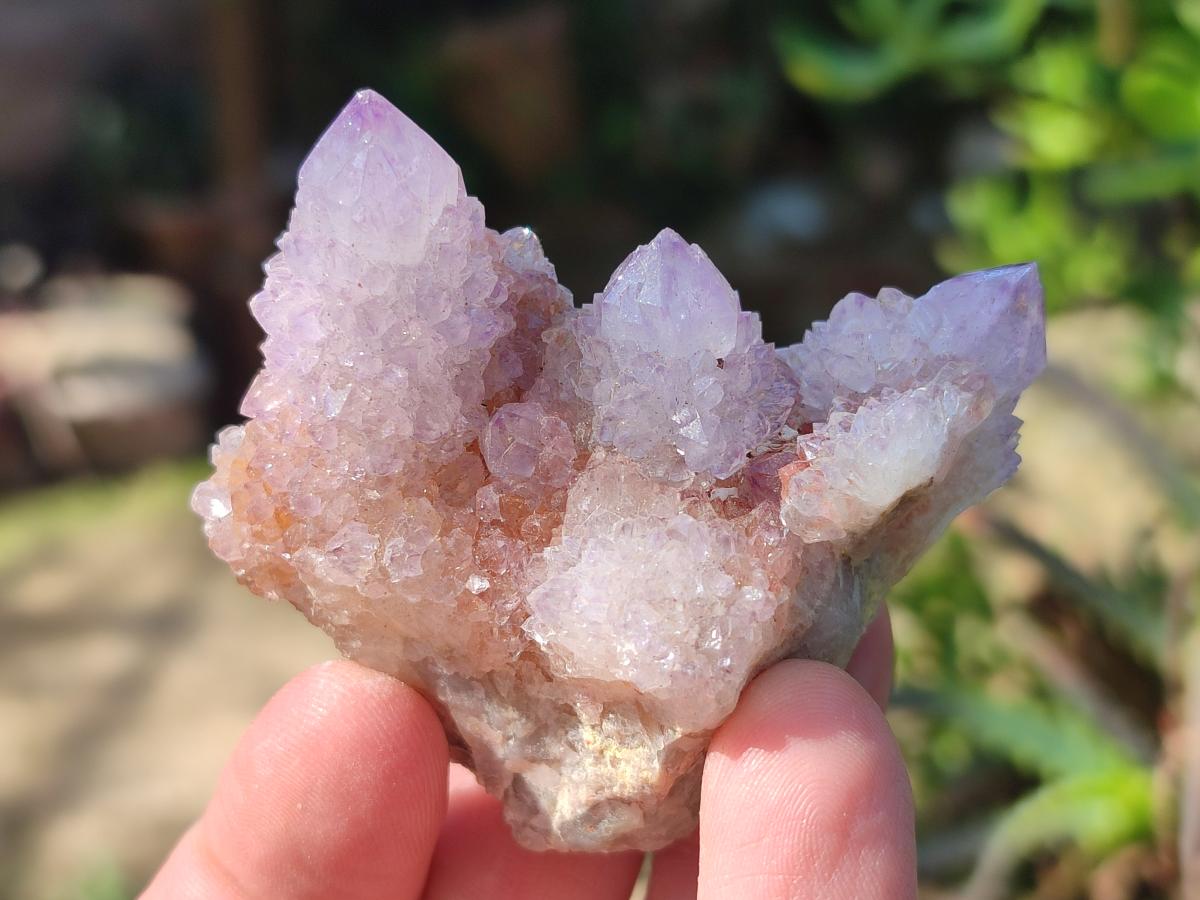 Natural Spirit Amethyst Clusters x 12 From Boekenhouthoek, South Africa - Toprock Gemstones and Minerals 
