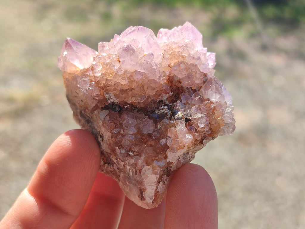 Natural Spirit Amethyst Clusters x 12 From Boekenhouthoek, South Africa - Toprock Gemstones and Minerals 