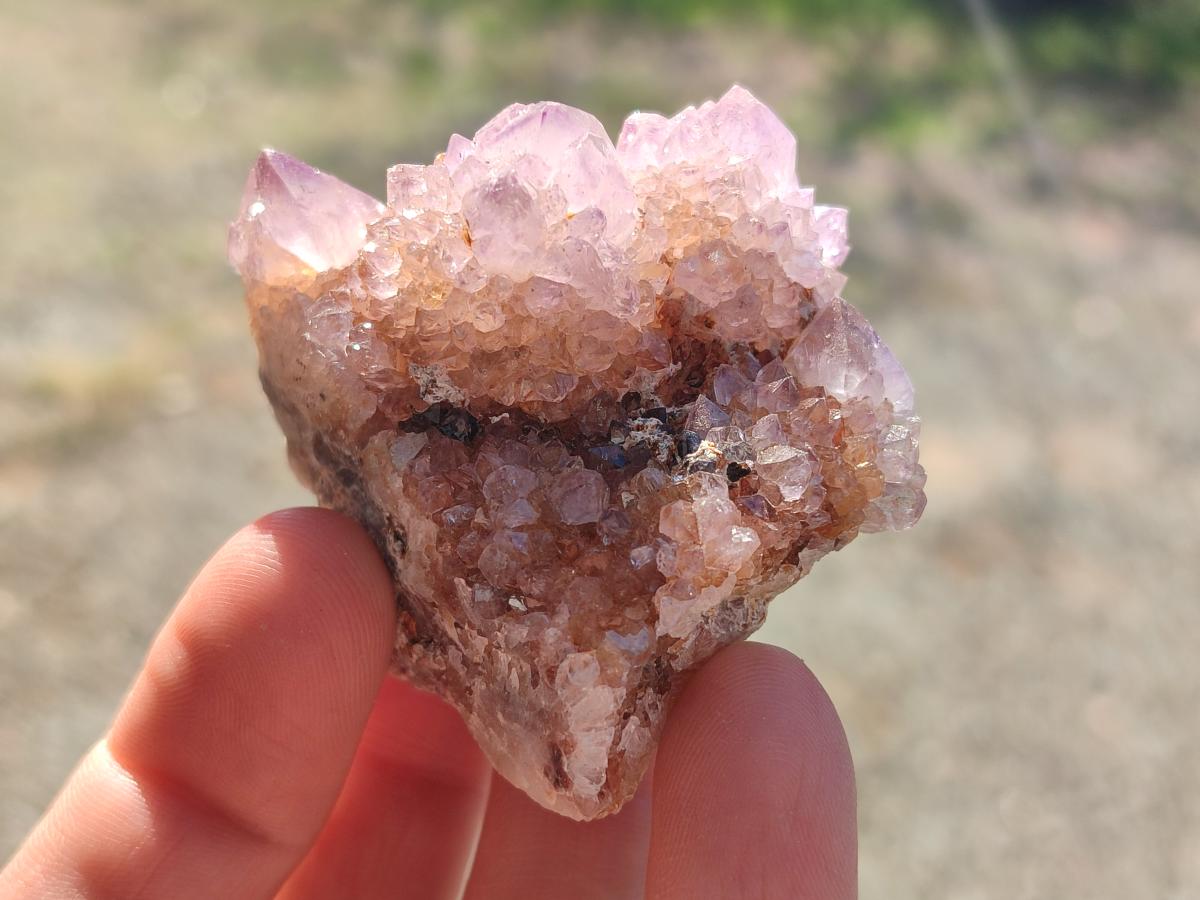 Natural Spirit Amethyst Clusters x 12 From Boekenhouthoek, South Africa - Toprock Gemstones and Minerals 