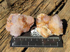 Natural Spirit Amethyst Clusters x 12 From Boekenhouthoek, South Africa - Toprock Gemstones and Minerals 