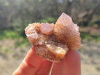 Natural Spirit Amethyst Clusters x 12 From Boekenhouthoek, South Africa - Toprock Gemstones and Minerals 