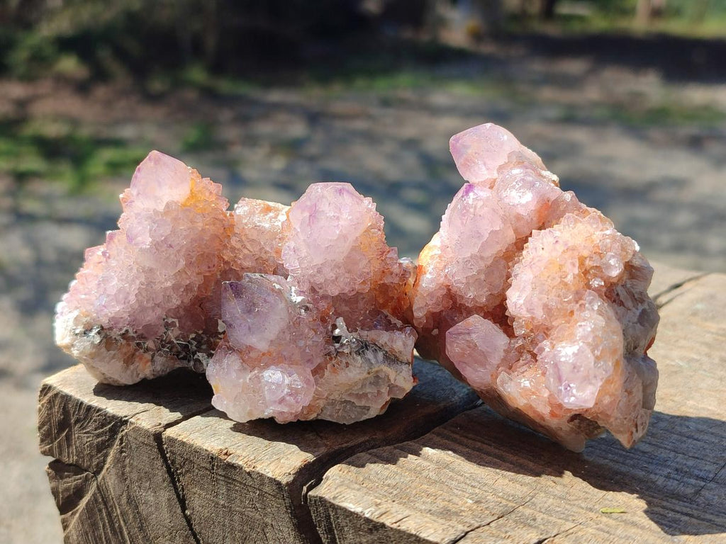 Natural Spirit Amethyst Clusters x 12 From Boekenhouthoek, South Africa - Toprock Gemstones and Minerals 